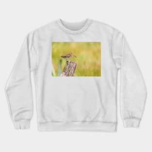 Common snipe bird sitting on tree trunk Crewneck Sweatshirt